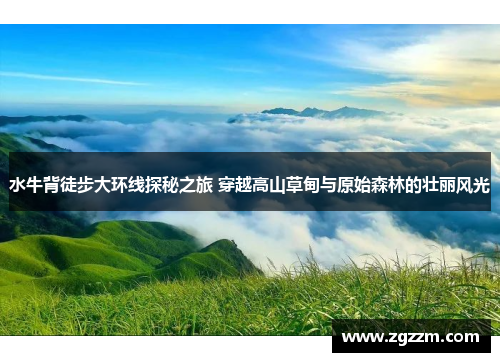 水牛背徒步大环线探秘之旅 穿越高山草甸与原始森林的壮丽风光