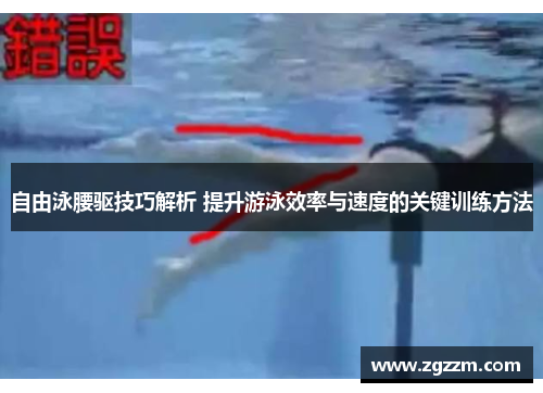 自由泳腰驱技巧解析 提升游泳效率与速度的关键训练方法