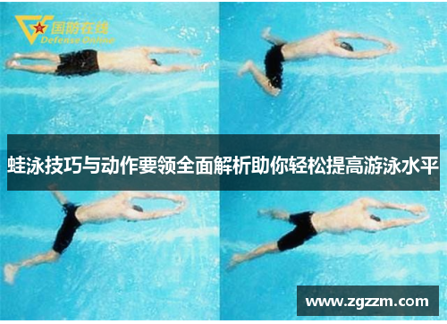 蛙泳技巧与动作要领全面解析助你轻松提高游泳水平