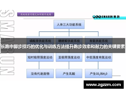 长跑中脚步技巧的优化与训练方法提升跑步效率和耐力的关键要素
